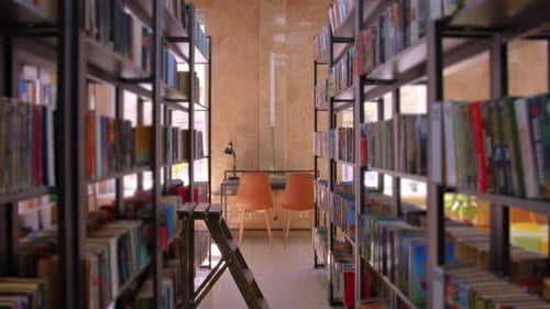 Education Student Lifestyle and Lessons Concept