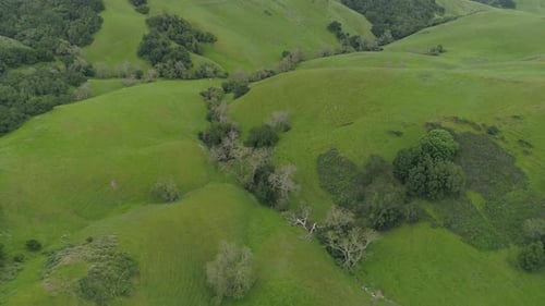 Aerial view of green hills