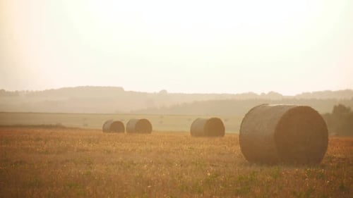 Rolls of Haystacks on the Field