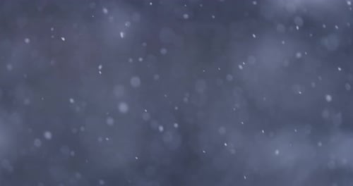 Schnee 13