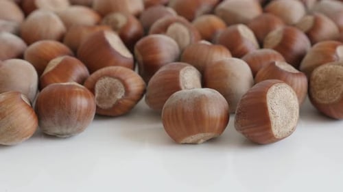Brown Hazelnuts in Shells on White Surface