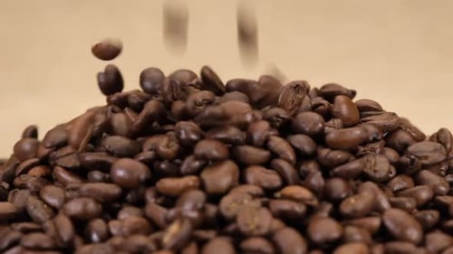 Coffee Beans Pouring onto Pile, Close Up Shot