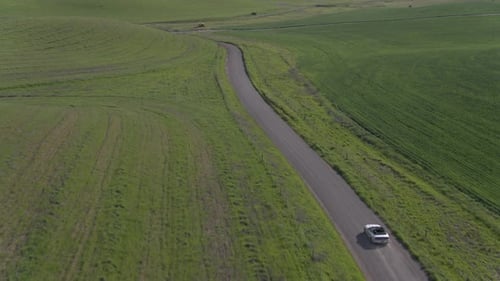 Car Driving On The Dirt Road Among Windmills