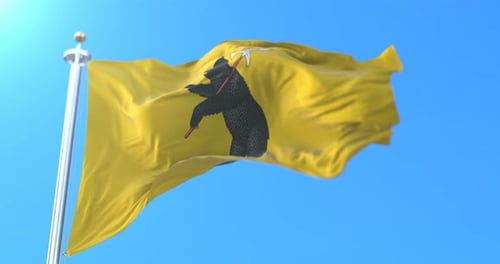 Drapeau de Yaroslavl, Russie