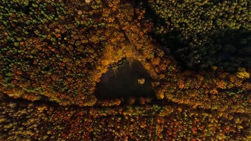 Aerial View of Colorful Autumn Forest Landscape