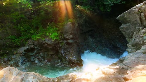 mountain stream in the forest