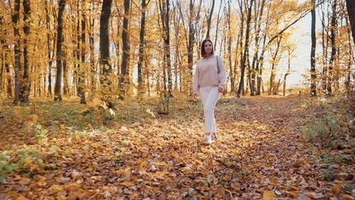 Portrait of Woman Walking Alone in Amazing Yellow Autumn Park