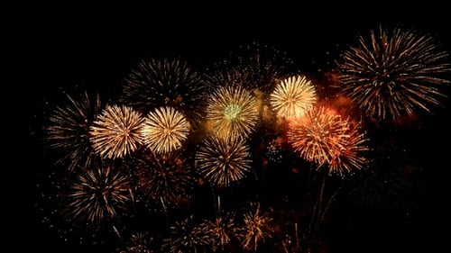 Vibrant Fireworks Exploding Against Black Night Sky