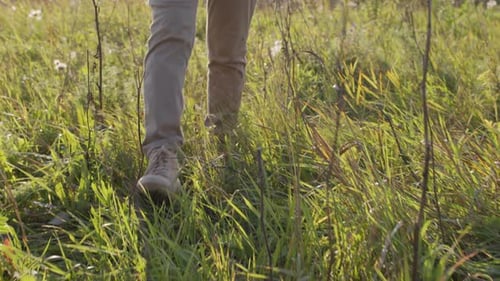 Legs Walking Through Green Grass In Daylight
