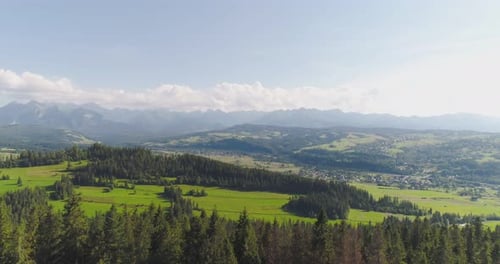 Flying Over the Beautiful Forest Trees. Landscape Panorama.