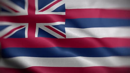 Realistic Waving Hawaii State Flag Animation