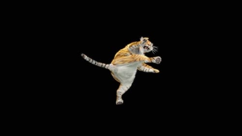 15 Tiger: Tanzen HD