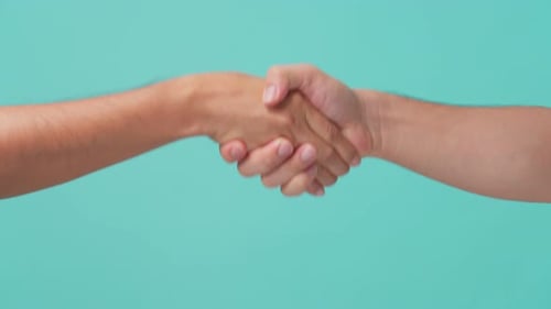 Close up shot of human hand showing with hand shaking gesture in isolate blue screen in background.