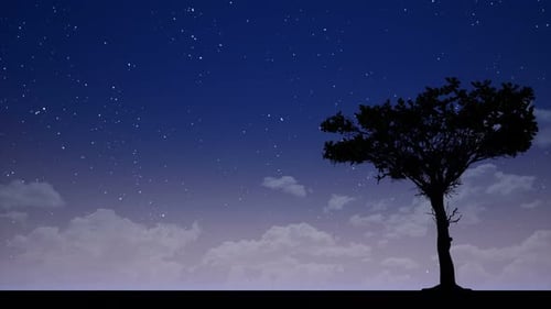 silueta de árbol en la noche