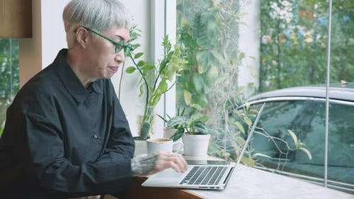 Adult Using Laptop in Bright Urban Cafe