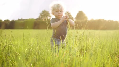 Young Child Exploring Grassy Field at Sunset