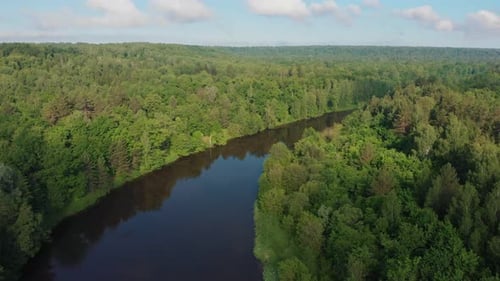 Landscape of Green Nature - the River Stretches Between the Forest