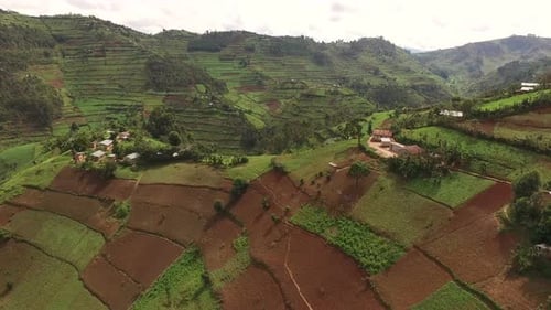 Aerial view of agriculture fields in a village in Uganda