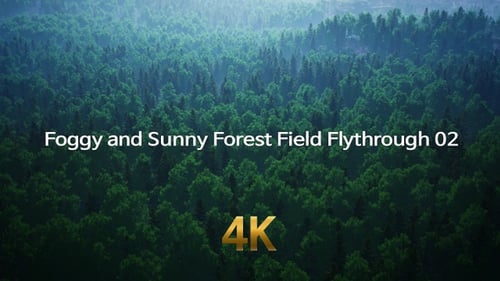 Foggy and Sunny Forest Flythrough 4K 02