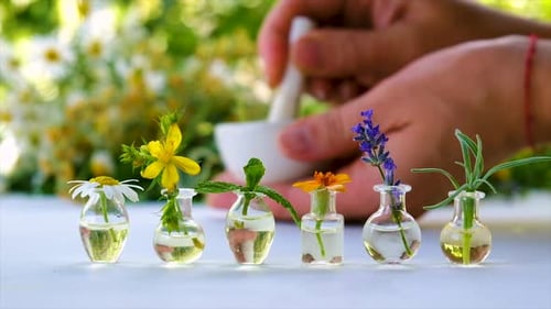 Medicinal Herbal Extracts in Bottles