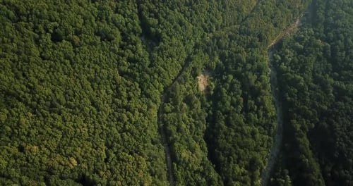Aerial Top View of Caucasian Mountain Forest, Texture of Forest View From Above.