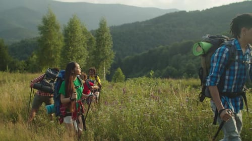 Hikers Trekking Through Grassy Mountain Meadow