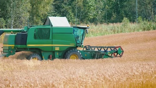 Combine Harvester Working on Golden Wheat Field