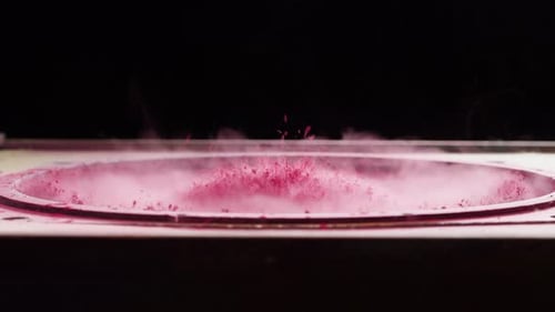 Pink Powder Vibrating in a Circular Enclosure