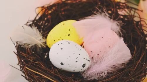 Decorative Easter Eggs in a Twig Birds Nest