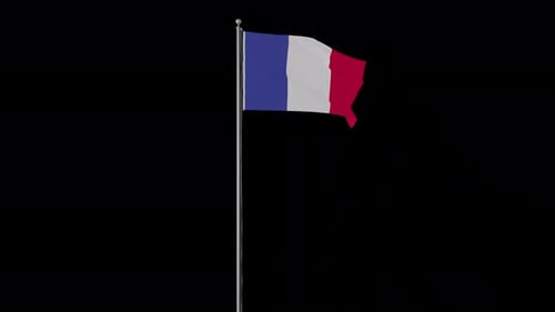 Waving French Flag on Flagpole