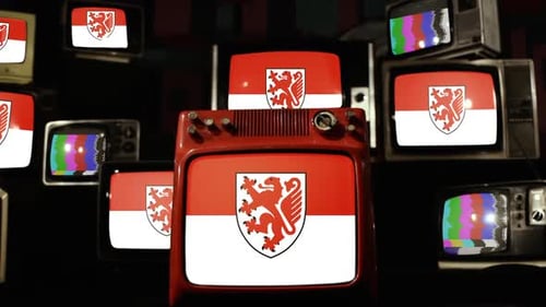 Multiple Vintage Televisions Displaying Static and Color Bars