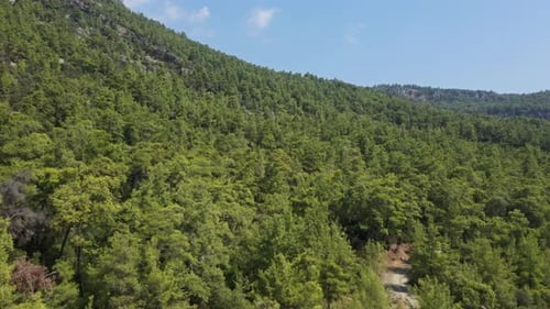 Luftaufnahme Rocky Mountain Forest