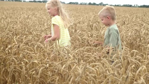 Brother and Sister Walking on Wheat Field