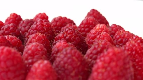 Raspberries Spinning on a Plate on White Background for a Restaurant Juicy Raspberries for