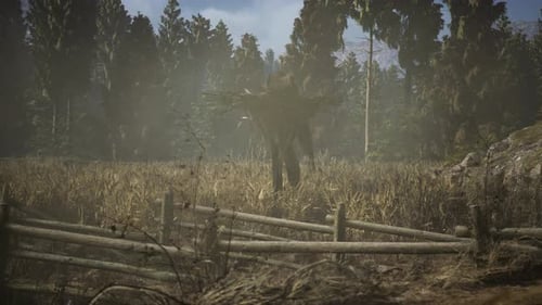 Scarecrow on the Old Village Field