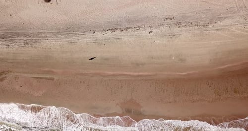 Top Down View of Waves Breaking in the Sand, Flying Over Tropical Sandy Beach and Waves
