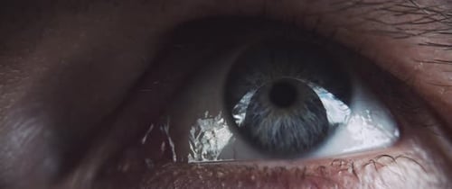 Intricate Close-Up of a Human Eye