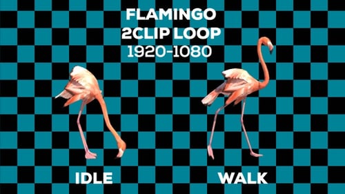 Flamingo 2 Clip-Schleife