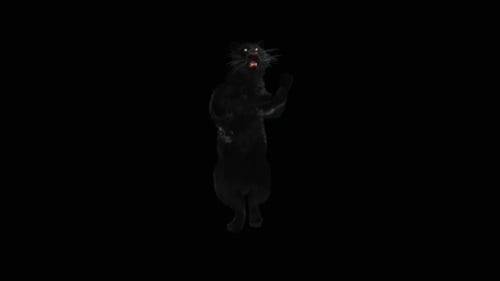 Dancing Black Panther 3D Animation