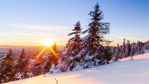 Beautiful Winter Landscape in the Mountains