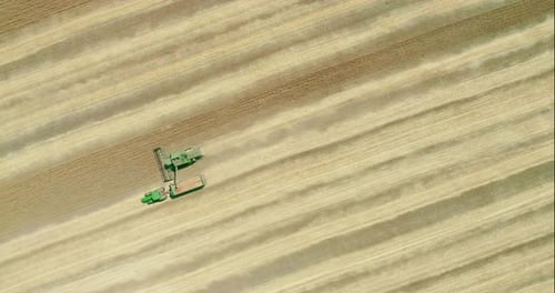 Combine Harvester Harvesting Crop in a Rural Field