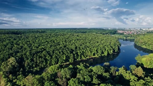Clear Turquoise Water of Pond Surrounded By Trees and Plants