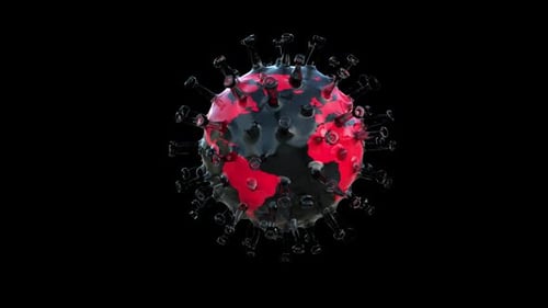 El coronavirus Covid 19 y el mundo