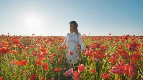 Ukrainian Girl Walking Through a Red Poppy Field