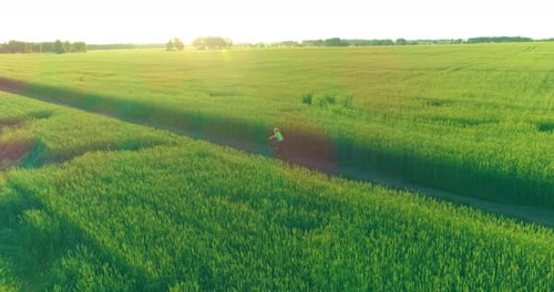 Aerial View on Young Boy That Rides a Bicycle Thru a Wheat Grass Field on the Old Rural Road