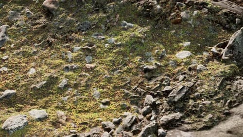 Close Up of Rocky Stones Formation