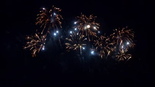 Colorful Firework display at night on sky background