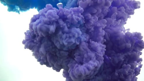 Blue And Purple Paints Swirling