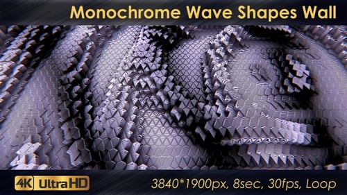 Monochrome Wave Shapes Wand