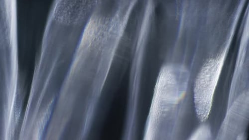 Cinematic Abstract Motion Background